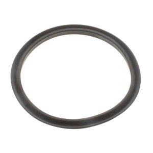 Saunier Duval Gasket (0020195520) - main image 1