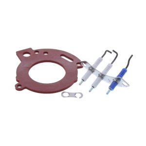 Worcester Bosch Electrode and Gasket (87376007950) - main image 1