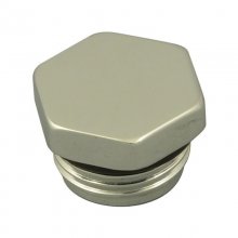 Triton blanking plug (83312740)