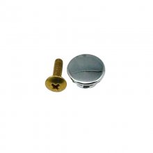 Triton end cap and screw (83312710)