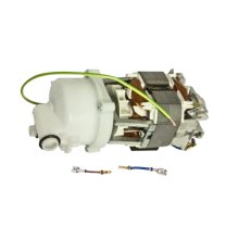 Triton pump/motor assembly (84000130)