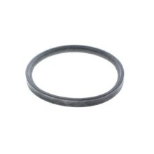 Vaillant Packing O'Ring - Blue (981227)